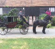 Horse and Carriage Hire in Surrey
